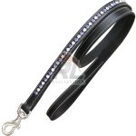 ExionPro White & Blue Bling Dog Leash