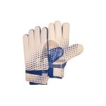 Goalkeeper Gloves