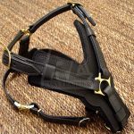 Handmade leather dog Harness