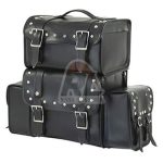 Motorbike Sissy Bar Bags