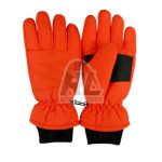 Ski Gloves