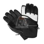 Ski Gloves